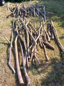 Firewood