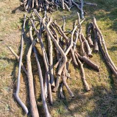 Firewood