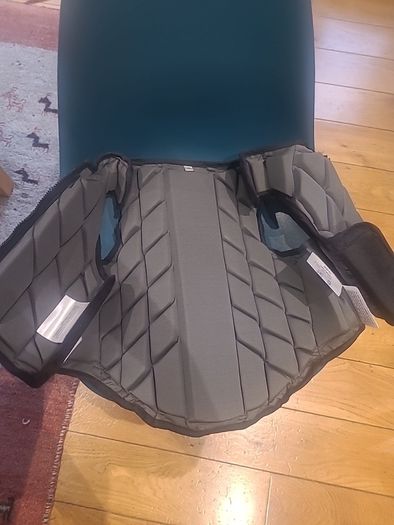back protector