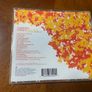 The Best of Counting Crows CD Films About Ghosts Image 2