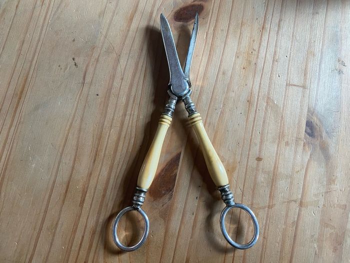 Vintage Silver Plated Grape Scissors Bone Handle