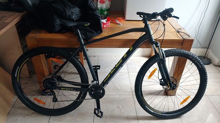 scott mountain bike
