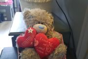 me to you girlfriend teddy