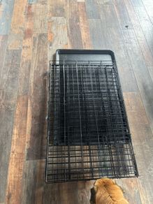 dog crate