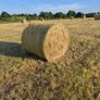 Quality Round Bales Of Hay Image 2