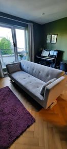 Grey Velvet Sofa Bed