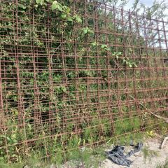 concrete   reinforceing   mesh