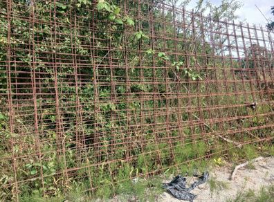 concrete   reinforceing   mesh