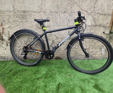 Frog Bike 73
