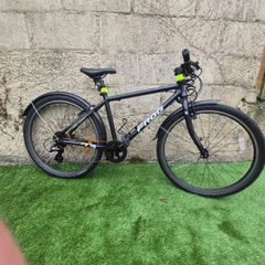 Frog Bike 73