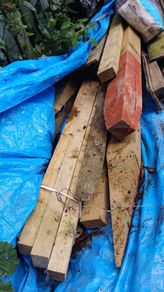 fence wood