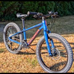 Orbea MX 20 Team disc
