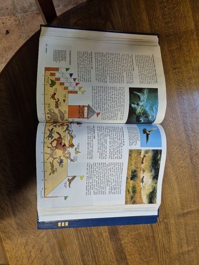 The New Book of Knowledge