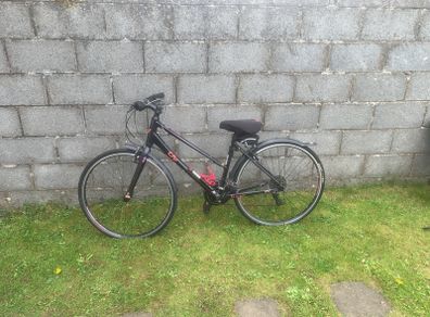 Ladies Bike