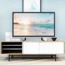 Universal TV Stand Legs LCD LED OLED Replacement Image 2