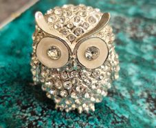 Vintage Owl trinket box