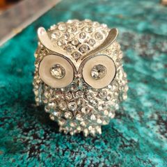 Vintage Owl trinket box