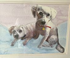 Bichon Frise watercolour painting