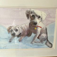 Bichon Frise watercolour painting