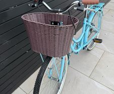 24 Inch Girls Bicycle Pezzaz Petal