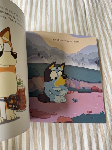 Bluey kids book bundle