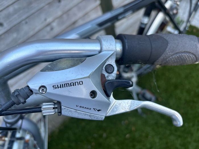 Adult bike