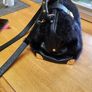 bag Image 4
