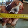 Rare Vtg Cocker Spaniels Figurine Statue Brinns Portugal 10.5 x8 Inches Dogs in Bucket. Image 3