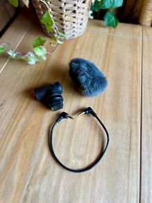 Sony ECM-G1 Microphone