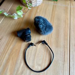 Sony ECM-G1 Microphone
