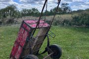 Donkey cart