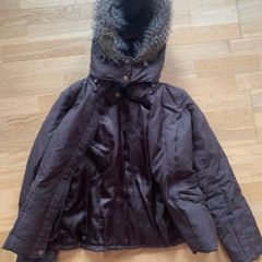Designer ladies winter jacket