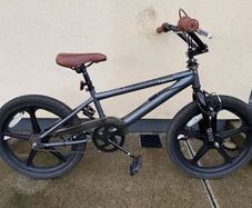 Piranha 20-Inch BMX Bike