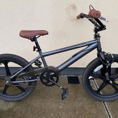 Piranha 20-Inch BMX Bike