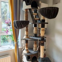 Free Cat scratching tree