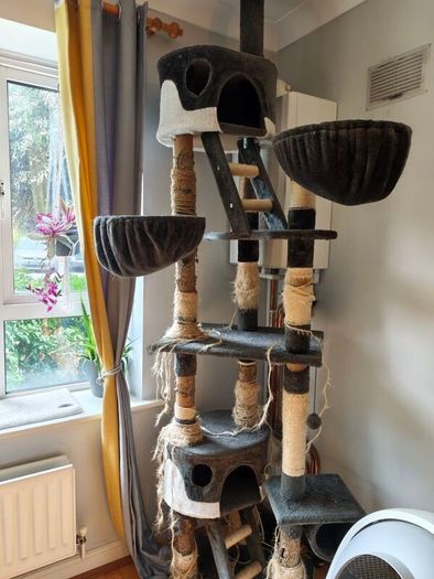 Free Cat scratching tree