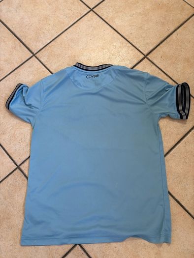 dublin gaa tshirt