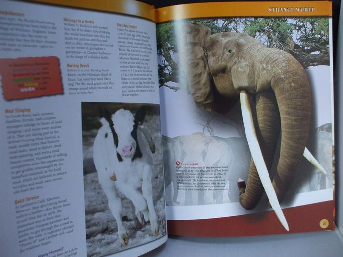 SALE! RIPLEY'S Believe It Or Not! - 2007 Expect ...The Unexpected