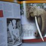 SALE! RIPLEY'S Believe It Or Not! - 2007 Expect ...The Unexpected Image 9