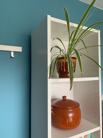 Ikea Billy Bookcase