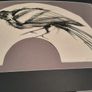 Eve Parnell 'crow' charcoal study 2007 Image 2