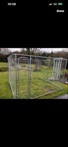 dog run