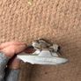 Pedals - Shimano - Dual Sided Image 4