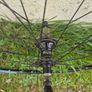 Mavic wheels Image 6