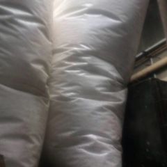 Bean Bag Filling