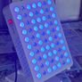 Custom Kingbrite Red & Blue Light Therapy Panel - Like New Image 4