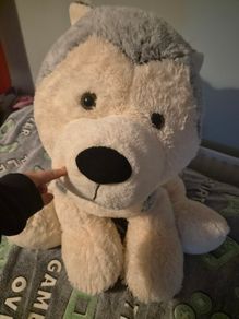Large Dog Teddy