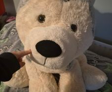 Large Dog Teddy