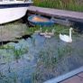 Boat Image 8