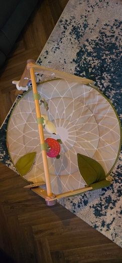 Tiny Love Luxe Developmental Play Gym with Music, Play Mat
